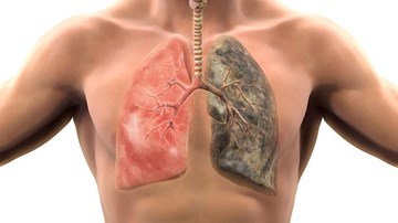 Cơ thể thay đổi như thế nào sau khi bỏ hút thuốc lá?