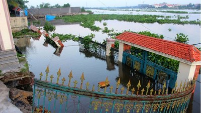 Khu vực sạt lở ven sông Sài Gòn nhìn từ toàn cảnh