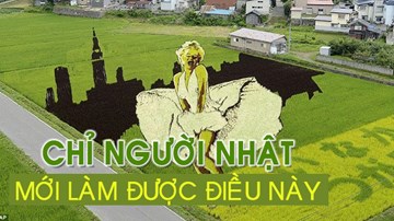 Người Nhật vẽ tranh khổng lồ trên cánh đồng lúa như thế nào?