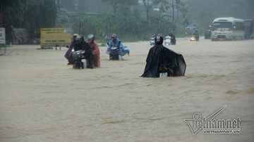 Trăm xe lặn ngụp giữa biển nước lũ Hòa Bình