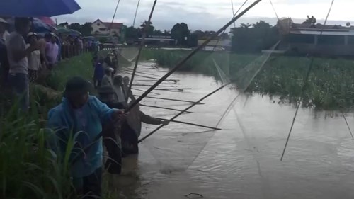 Người dân đổ xô cất vó bắt cá khi nước lũ đổ về