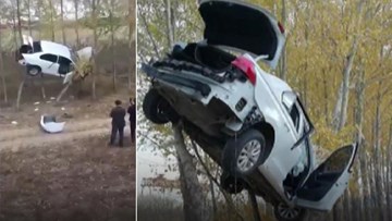 Ô tô bay khỏi đường lớn, 'đậu' trên cành cây như chim