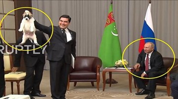 Hành động đáng yêu chứng minh Tổng thống Putin là người cuồng vật nuôi