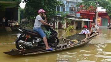 Chờ đò qua đường kiếm tiền triệu ở Ninh Bình