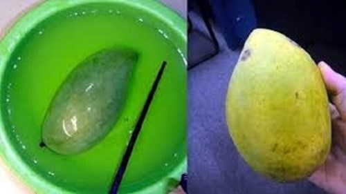 Đi tìm loại hóa chất lạ thúc chín hoa quả