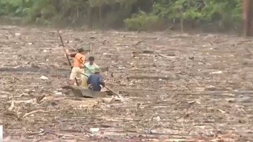 Người dân liều mạng vớt củi trên hồ thủy điện