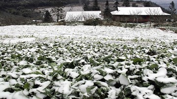 Mùa đông năm nay có rét kỷ lục như năm 2008?