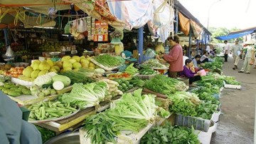 Khi tử thần chực chờ trong từng bữa ăn