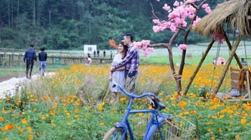 Dân phượt mê mẩn thung lũng hoa Bắc Sơn đẹp như cổ tích