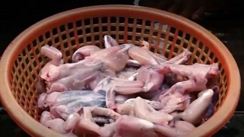 Sự thật kinh hoàng sau món lẩu ếch nóng hổi, giá chỉ 85.000 đồng/nồi