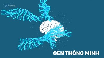 Những loại gen nào khiến con người trở nên thông minh?