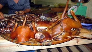 Cảnh giác với thịt chó bẩn