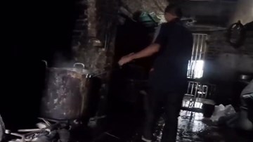 Thâm nhập thị trường chó đông lạnh khét tiếng Hà Nội