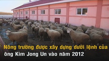 Triều Tiên tung video nông trường triệu đô xua tan tin đồn đói kém