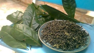 Giật mình với công nghệ sản xuất chè tẩm hóa chất, trộn phẩm màu