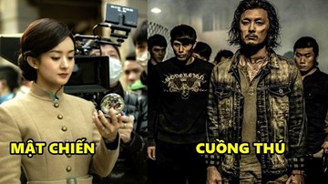 Loạt phim bom tấn dành cho các fan mê phim xã hội đen Hương Cảng