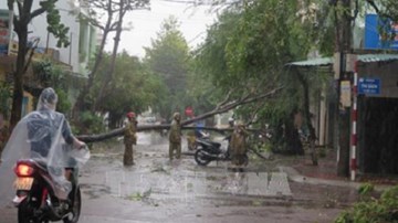 Cận cảnh bão số 12 đổ bộ, tàn phá Bình Định