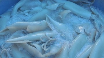 Nhận biết mực bẩn tẩy trắng bằng oxy già, đầu độc người tiêu dùng