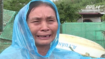 Mất trắng hàng tỷ đồng do bão, người nuôi tôm hùm khóc ròng