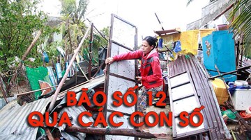 Những thiệt hại của bão số 12 qua các con số