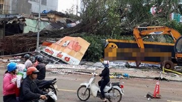 Cây đa cổ thụ cao hơn 40m bật gốc đè sập nhiều cửa hàng