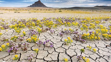 Không có el nino, 2017 vẫn thuộc top 3 năm nóng kỷ lục