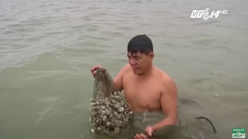 Thanh Hoá: Ngao chết trắng đồng, dân mỏi mắt chờ chính quyền hỗ trợ