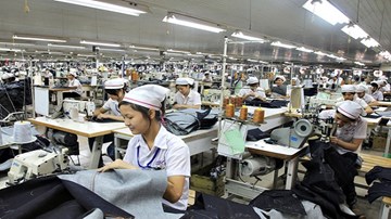 TP.HCM: phát hiện 350 người có việc làm vẫn nhận bảo hiểm thất nghiệp