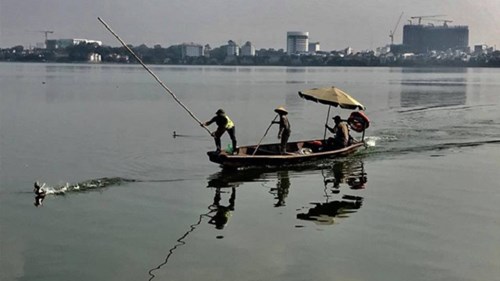 Nhân viên môi trường “hành hung” vịt trời trên Hồ Tây
