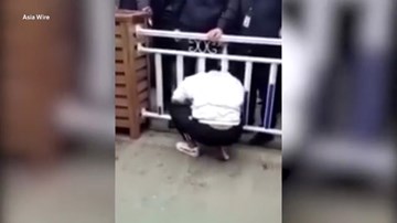 Cô gái trèo rào băng qua đường, bất ngờ kẹt đầu lại song chắn