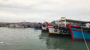 TP.HCM sẵn sàng các phương án phòng chống bão số 14