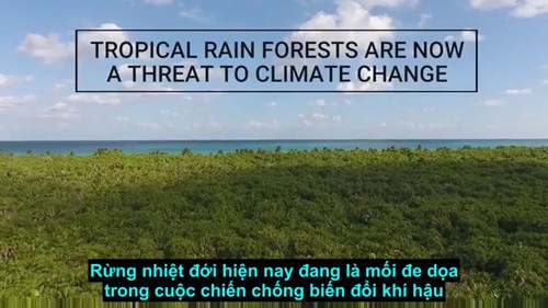 Các nhà khoa học rung lên hồi chuông cảnh báo cho cả thế giới