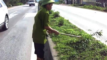 Nghi phạm chặt phá trúc anh đào trên QL1A để tạo đường tắt