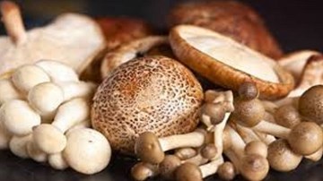 Mẹo bảo quản nấm luôn tươi mới khi chưa sử dụng