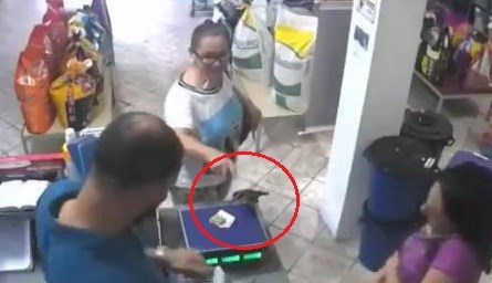 Bi hài cảnh chim 'táo tợn' cướp tiền trong cửa hàng rồi 'cao chạy xa bay'