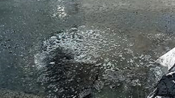 Hà Nội: Người dân hoang mang vì cá chết, nước bốc mùi