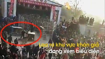 Cận cảnh hổ xổng chuồng tấn công trẻ em