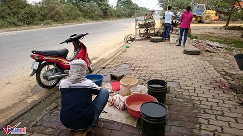 Cắt tiết gà, vặt lông chim bên đại lộ hiện đại nhất Việt Nam