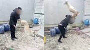 Chủ cầm chân quật chó đến chết gây phẫn nộ ở Trung Quốc