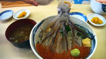 Bị cả bầy bạch tuộc con bám trong miệng sau khi ăn bạch tuộc sống
