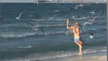 Cô gái mặc bikini trên bãi biển bị cả đàn chim tấn công