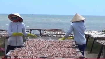 Vũng Tàu: Kinh hoàng công nghệ chế biến cá khô ở làng chài Đất Đỏ