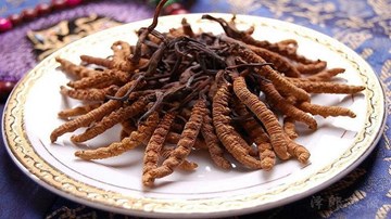 Cách phân biệt đông trùng hạ thảo thật - giả