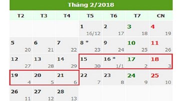Chính phủ dự kiến quyết định thời gian nghỉ Tết Nguyên đán 7 ngày
