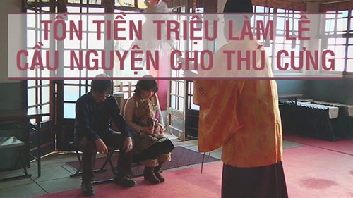 Tốn tiền triệu làm lễ cầu nguyện cho thú cưng như cho trẻ con ở Nhật Bản
