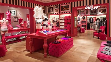 5 cô gái vác súng điện đi cướp nội y Victoria’s Secret