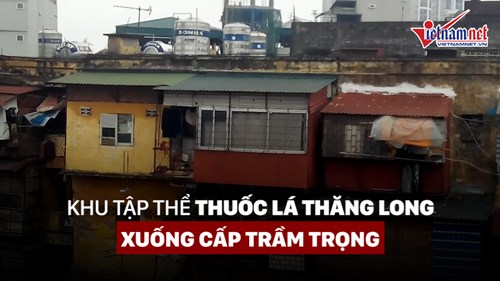 Khu tập thể thuốc lá Thăng Long xuống cấp trầm trọng