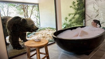 Điều thú vị ở khách sạn hoang dã đẹp nhất nước Úc