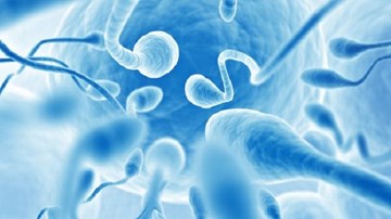 Dùng tinh trùng để điều trị ung thư
