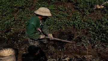 Săn lươn, chạch 'ngủ đông' kiếm nửa triệu mỗi ngày